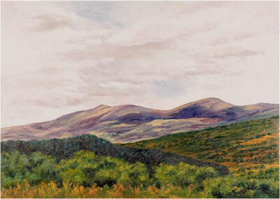 Cuadro "Sierra de Gredos" - 62 x 95